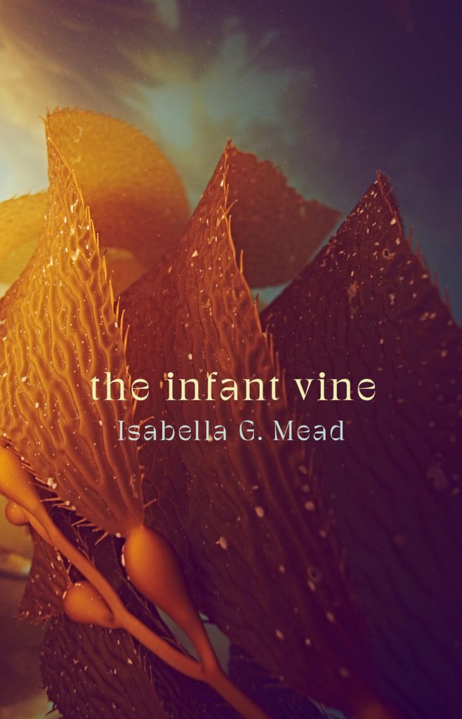 Front cover of The Infant Vine
